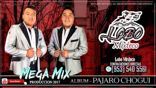 LOBO MIXTECO MEGA MIX DEL ALBUM PAJARO CHOGUI  PRODUCCION 2017 [upl. by Kellda]