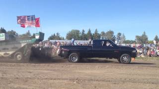 1998 dodge ram 3500 cummins at sled pull [upl. by Yanal574]