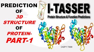 Bioinformatics 3D Protein Structure Prediction ITASSER Result Analysis of Protein Structure [upl. by Song]