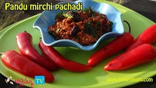 Ripe Chilli Pickle Pandumirchi Pachadi Recipe by Attamma TV [upl. by Fradin253]