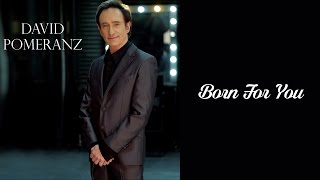 David Pomeranz  Born For You [upl. by Eniawd]