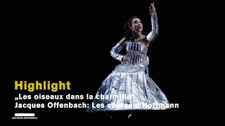 Jacques Offenbach LES CONTES D’HOFFMANN quotLes oiseaux dans la charmillequot Highlights [upl. by Neelyahs]