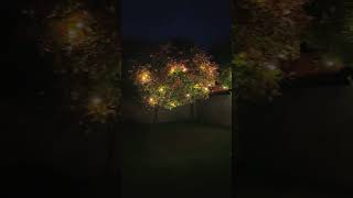 Best Outdoor LED String Lights for Parties Gardens and More [upl. by Ayama]