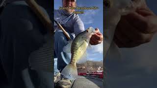 Hot Water Crappie Fishing [upl. by Anomor]