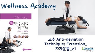 웰니스아카데미 도수치료요추 Anti deviation Technique Extension 자가운동 v1 [upl. by Nylear]