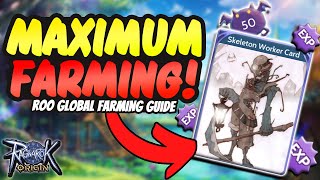 OPTIMIZE FARMING In Ragnarok Origin Global [upl. by Motteo]