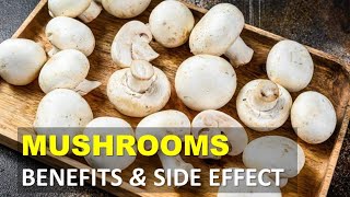 Mushrooms Health Benefits and Side Effects Mushrooms Contain Protein Vitamins [upl. by Ias]