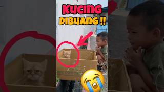 Vano menemukan Anak Kucing Dibuang 😭 kucing kasihan [upl. by Spector]