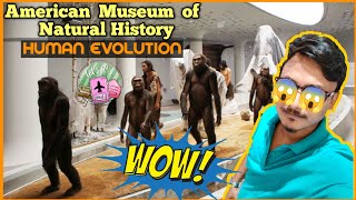 Human Evolution  American Museum of Natural History New York  Top 7 Science [upl. by Ardnik]