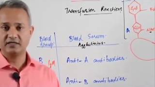 Blood Typing and Agglutination Reactions [upl. by Sinned]