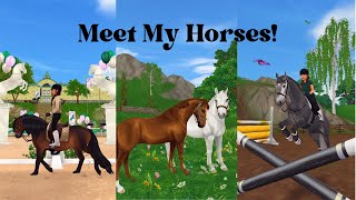 Meet My Horses  SSO RRP  starstableonline ssorrp [upl. by Eilliw591]