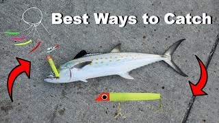 2 Best Ways to Catch Spanish Mackerel from Piers [upl. by Yrolg778]