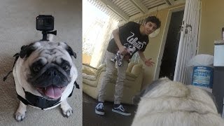 A DAY IN THE LIFE OF BOSLEY GoPro Point of View  FaZe Rug [upl. by Eelamme661]