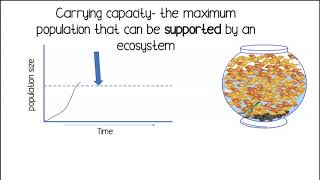 Carrying Capacity [upl. by Geis]