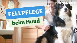 Fellpflege Hund I FRESSNAPF [upl. by Aroved]