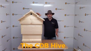 The CDB Hive [upl. by Ainigriv]