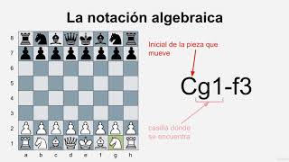 Ajedrez desde cero  La notación algebraica [upl. by Ecyob531]