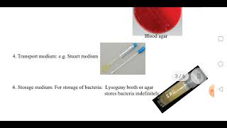 Bacterial Culture Media amp Growth Curve [upl. by Cohl]