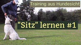 Dem Hund Sitz beibringen  Zwei Trainingsmethoden [upl. by Niro]