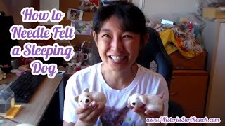 How to Needle Felt a Dog Beginner Tutorial [upl. by Eckardt]