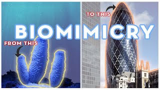 Biomimicry in Architecture with Examples and Concepts [upl. by Maressa457]