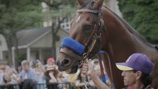 The Eye of a Champion  Undefeated Racehorse Flightline [upl. by Rainie]