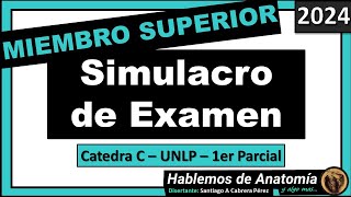 🔴👉SIMULACRO DE EXAMEN  MIEMBRO SUPERIOR 🟪 ANATOMIA C  2024 [upl. by Buff448]