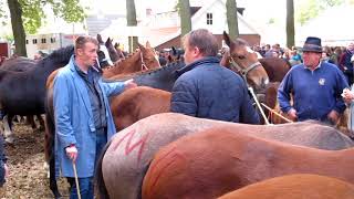 Paardenmarkt Zuidlaren 2017 [upl. by Onit]