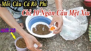 Mồi Câu Cá Rô Phi Siêu Tanh Chưa Tới 10 Ngàn Cá Ăn Giật Mỏi Tay [upl. by Chicky839]