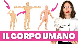 Lessico CORPO UMANO in italiano Come si chiamano le PARTI del CORPO Impara litaliano 🇮🇹 [upl. by Iuq]