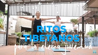 EJERCICIOS TIBETANOS PARA LA ETERNA JUVENTUD yoga en español  Brenda Yoga [upl. by Thaddeus616]