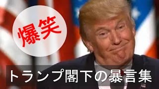 【字幕】トランプ閣下のありがたい名言（暴言）集 [upl. by Rubetta]