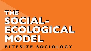 Bitesize Sociology 2  The SocialEcological Model [upl. by Kramal]