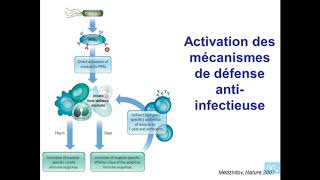 immunité antivirale partie 1 [upl. by Gnep520]