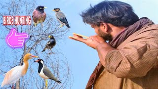 Bird Hunting With Handmade Slingshot [upl. by Lairret]