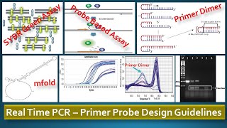 Real Time PCR  Primer Probe design guidelines [upl. by Eelasor]