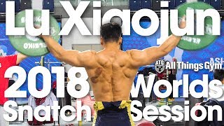 Lu Xiaojun 160kg  352lbs Snatch Session 2018 World Championships Training Hall 4k [upl. by Martsen]