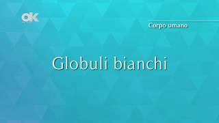 Globuli bianchi [upl. by Swamy]