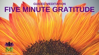 5 Minute Guided Meditation for Gratitude  Mindful Movement [upl. by Quinn995]