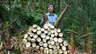 Single Mom Harvest bamboo shoots for preservation  How to preserve bamboo shoots  Tương Thị Mai [upl. by Ecnatsnoc]