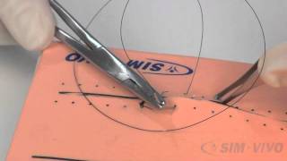 SIM SUTURE  5 Running Simple Sutures [upl. by Drawde29]