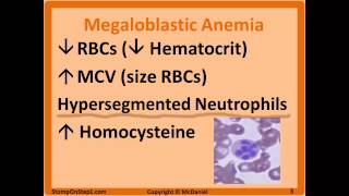 Folate amp B12 Deficiency Megaloblastic Anemia Hypersegmented Macrocytic Methylmalonic [upl. by Chemaram988]