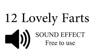 12 Lovely FART Sound Effects [upl. by Melania]