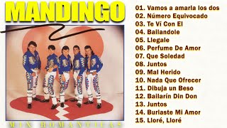 Grupo Mandingo  Rompe Corazones Álbum Mix [upl. by Irihs767]