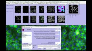 CellProfiler Getting Started [upl. by Turley]