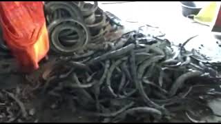 Tyre Shredder Manufacturer Yes Square Machines Coimbatore 9751025253 [upl. by Elleneg]