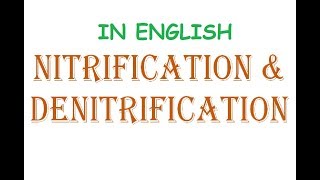 Nitrification Denitrification amp Ammonification in Nitrogen Cycle Explained In English [upl. by Veejar903]