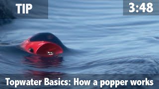 Topwater Basics How a Popper Works [upl. by Adnaluoy]