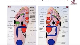 Riflessologia corso 2° livello [upl. by Iznek950]
