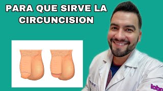 PARA QUE SIRVE LA CIRCUNCISION  CIRCUNCISION  DR DAVID CAMPOS [upl. by Lubeck]